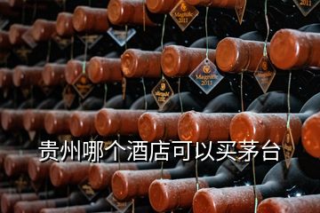 贵州哪个酒店可以买茅台