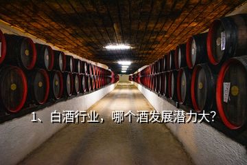 1、白酒行业，哪个酒发展潜力大？