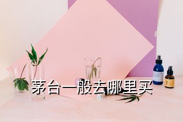 茅台一般去哪里买