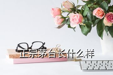 正宗茅台长什么样