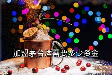 加盟茅台酒需要多少资金