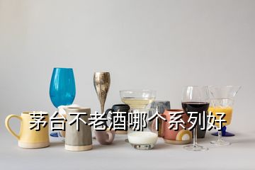 茅台不老酒哪个系列好