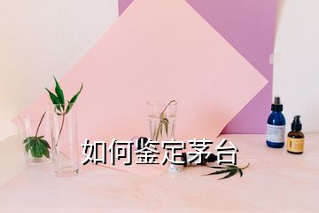 如何鉴定茅台