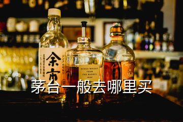 茅台一般去哪里买