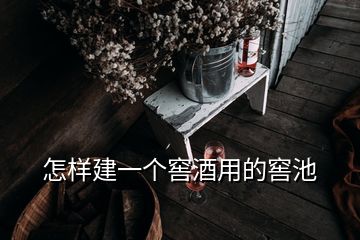 怎样建一个窖酒用的窖池