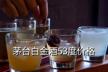 茅台白金酒53度价格