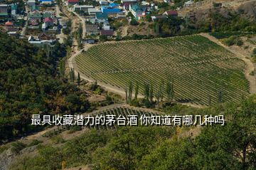 最具收藏潜力的茅台酒 你知道有哪几种吗