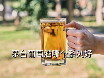 茅台葡萄酒哪个系列好