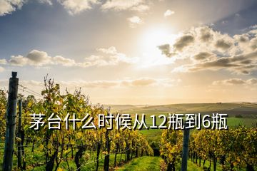 茅台什么时候从12瓶到6瓶