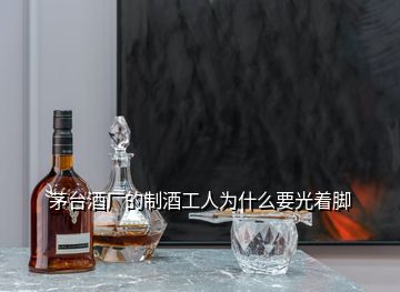 茅台酒厂的制酒工人为什么要光着脚