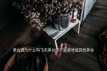 茅台酒为什么叫飞天茅台而不是遁地或其他茅台