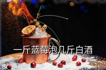 一斤蓝莓泡几斤白酒