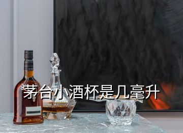 茅台小酒杯是几毫升