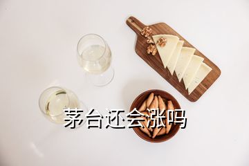 茅台还会涨吗