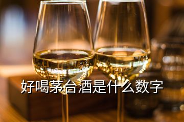 好喝茅台酒是什么数字