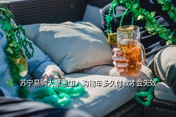 苏宁易购大聚惠加入购物车多久付款才会失效