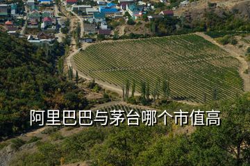 阿里巴巴与茅台哪个市值高