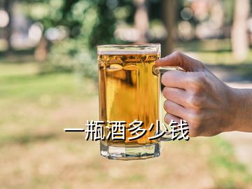 一瓶酒多少钱