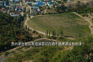 贵州茅台有么有泡沫答曰白酒不是啤酒没有泡沫