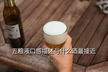 五粮液口感描述与什么酒最接近