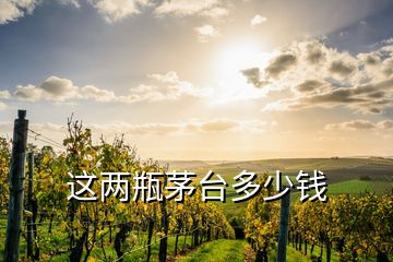 这两瓶茅台多少钱