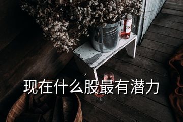 现在什么股最有潜力