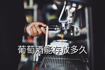 葡萄酒能存放多久