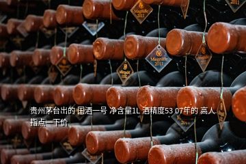 贵州茅台出的 国酒一号 净含量1L 酒精度53 07年的 高人指点一下价