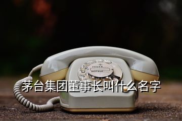 茅台集团董事长叫什么名字