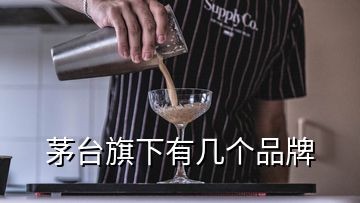 茅台旗下有几个品牌