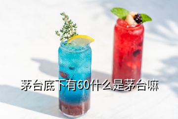 茅台底下有60什么是茅台嘛