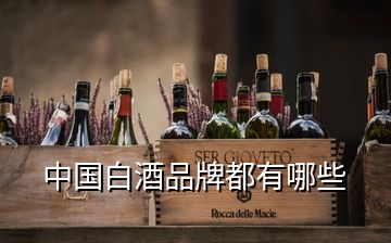 中国白酒品牌都有哪些