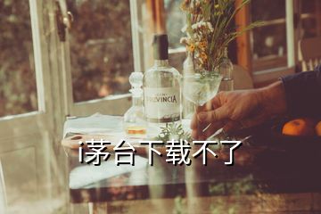 i茅台下载不了