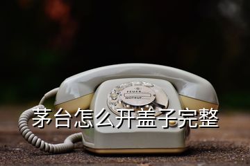 茅台怎么开盖子完整