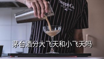 茅台酒分大飞天和小飞天吗