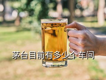 茅台目前有多少个车间