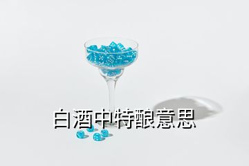 白酒中特酿意思