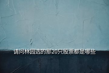 请问林园选的那20只股票都是哪些