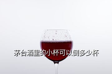 茅台酒里的小杯可以倒多少杯