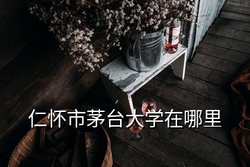 仁怀市茅台大学在哪里