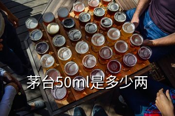 茅台50ml是多少两