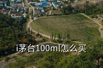 i茅台100ml怎么买