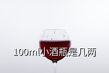 100ml小酒瓶是几两