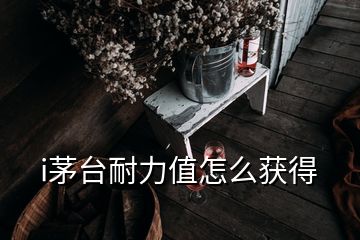 i茅台耐力值怎么获得