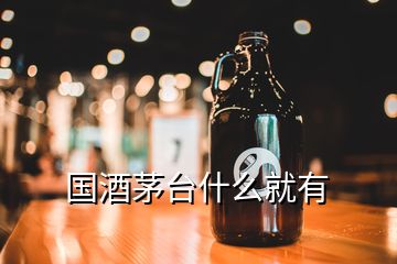 国酒茅台什么就有