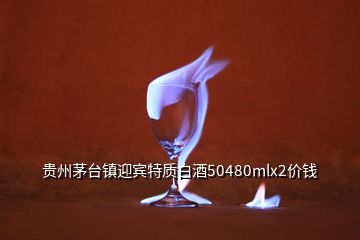 贵州茅台镇迎宾特质白酒50480mlx2价钱