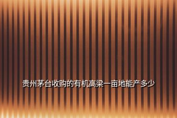 贵州茅台收购的有机高梁一亩地能产多少