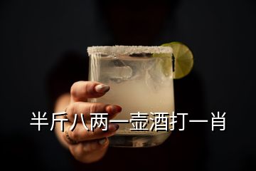 半斤八两一壶酒打一肖