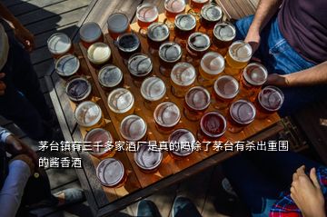 茅台镇有三千多家酒厂是真的吗除了茅台有杀出重围的酱香酒