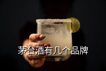 茅台酒有几个品牌